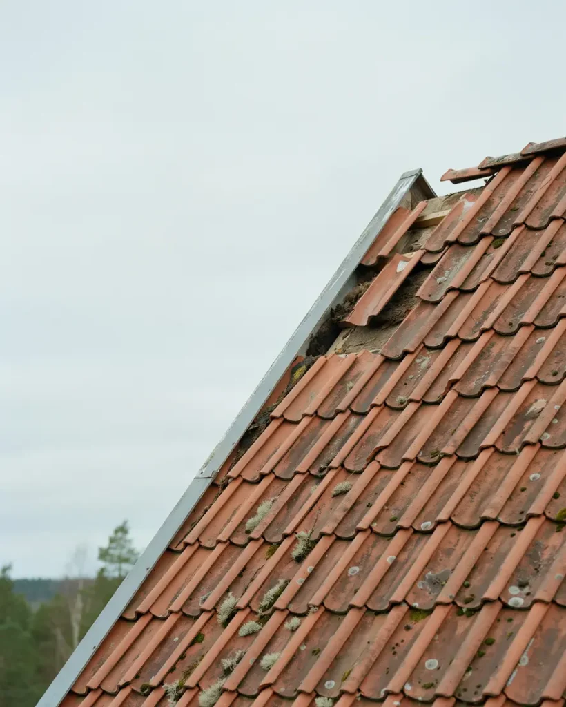 l ckande tak kring takf nster s f rebygger du fuktskador och dyra reparationer